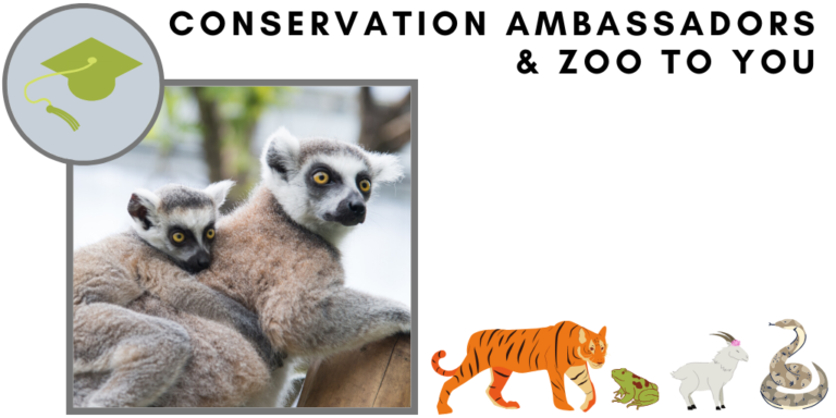 Conservation Ambassadors Zoo to You