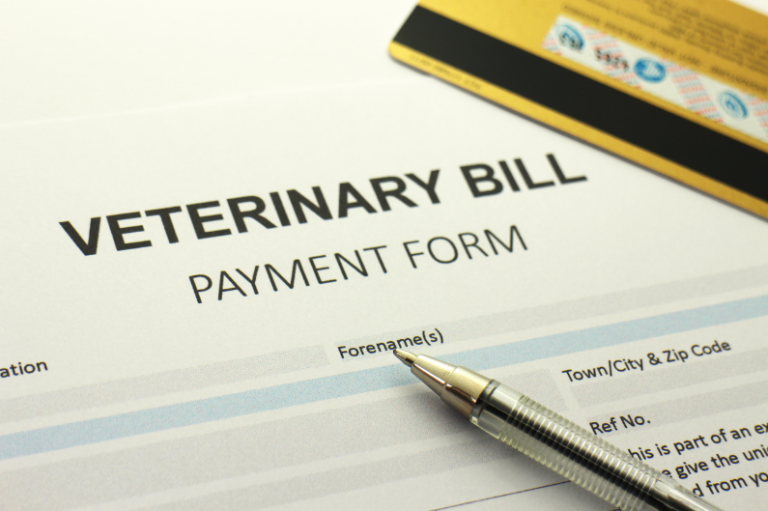 Vet Bills Breaking the Bank? Imagine Protecting Your Pet’s Health While Saving Money. Try Wagmo.