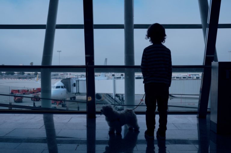 8 Tips for Traveling with Pets: A Quick Flying Guide