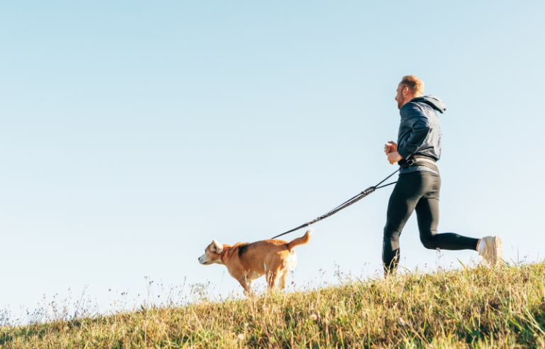 4 Exercises We Can Do with Our Dog